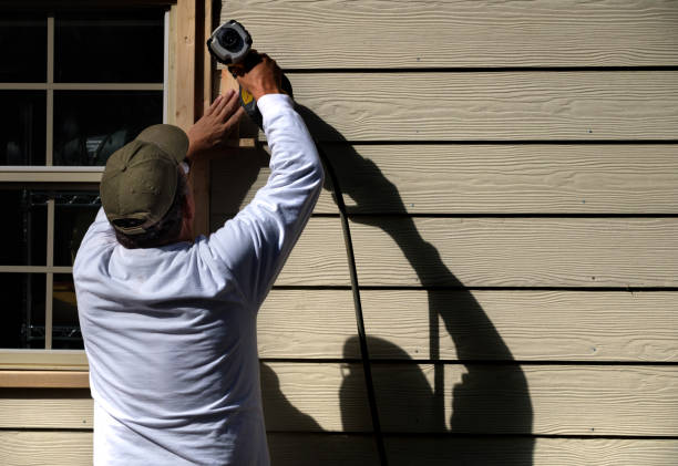 Affordable Siding Repair and Maintenance Services in Tampa, FL